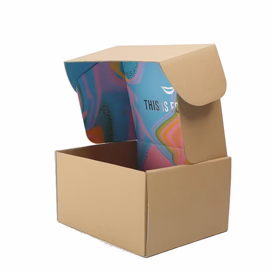 Caja de papel de regalo de embalaje de papel de flauta E/B corrugado Kraft impreso colorido personalizado para alimentos/cerveza/fideos/galletas/mariscos secos de frutas/bebidas/té